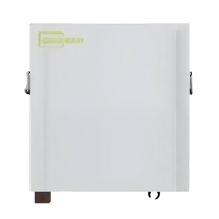 Wall-Mounted Battery